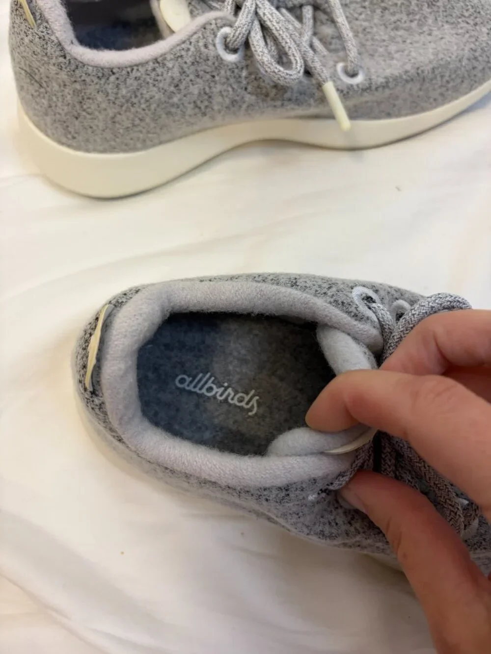 allbirds these wool